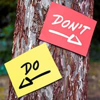A tree with a yellow do sign pointing left and a red don't sign pointing right